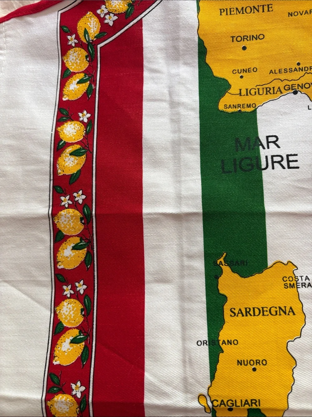 Italia Map Cotton Kitchen Apron - Red Green White